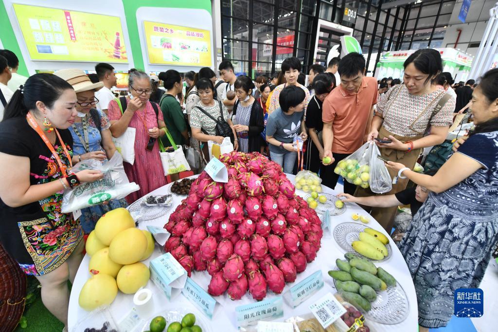 最新白菜免费彩金